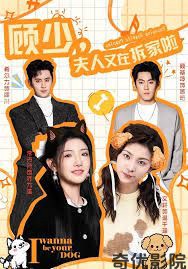 顾少，夫人又在拆家啦